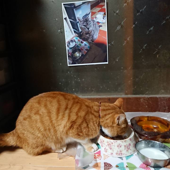 E5d8b9a7 952e 43e9 89da 1287d1cddad3 1602189384523