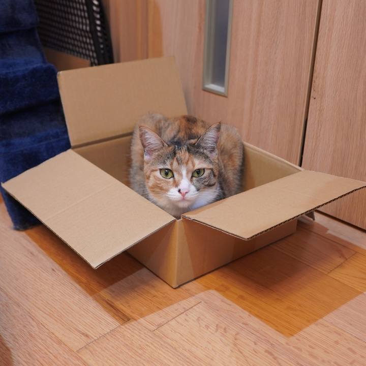 E5d8e417 4311 4448 b9b3 844c0692f7fc 1600919867231