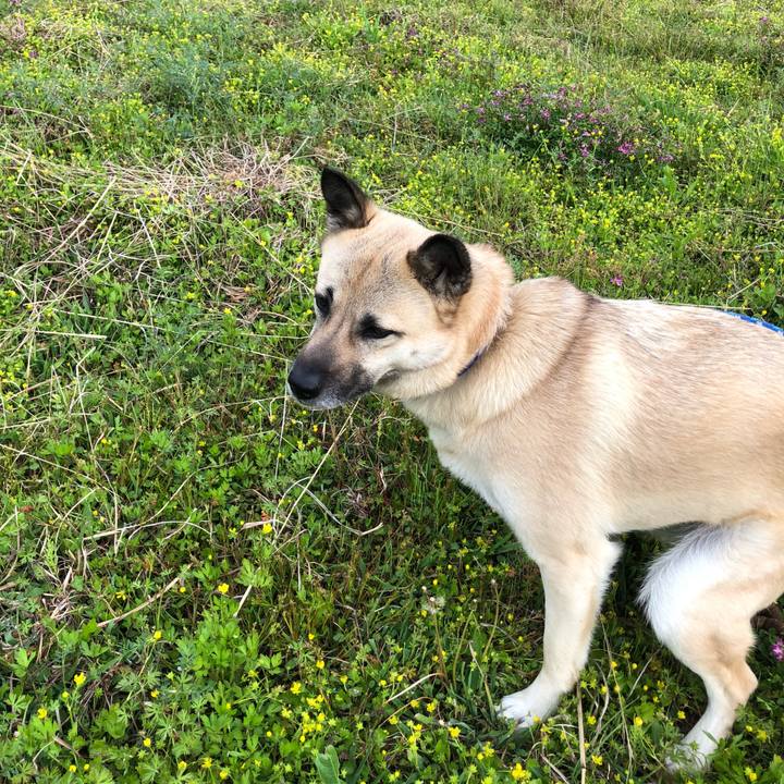 E5d8e983 f471 41ed 8c1c 482cfa832593 1556019512768