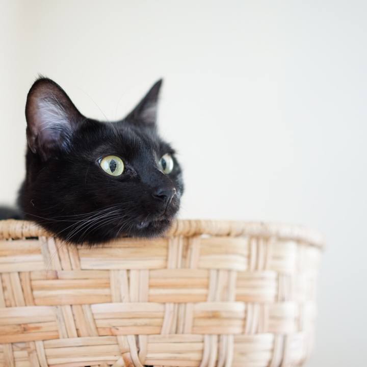 E5d8f40d 6268 4bda b0ac a7b4b54b1a9c 1547681544276