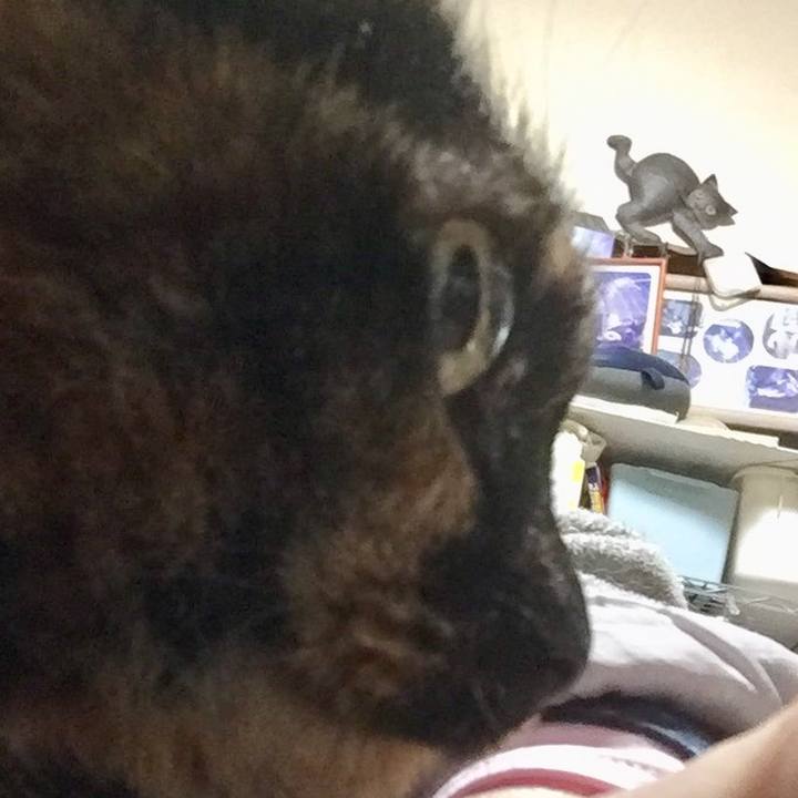 E5d91024 de59 4cb8 92ec ef61aabf2d30 1611924454579