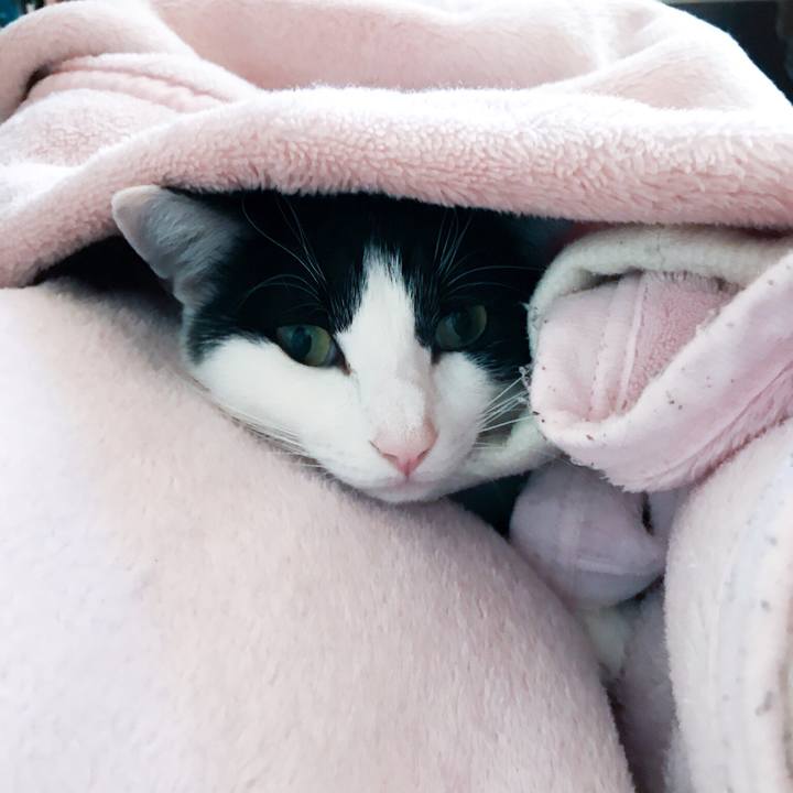 E5d92406 bee6 420d 927d 075132cea9b7 1510879517954