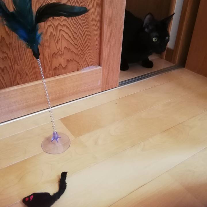 E5d95bd8 2143 4418 9ade 5dccdae821cb 1664505555852