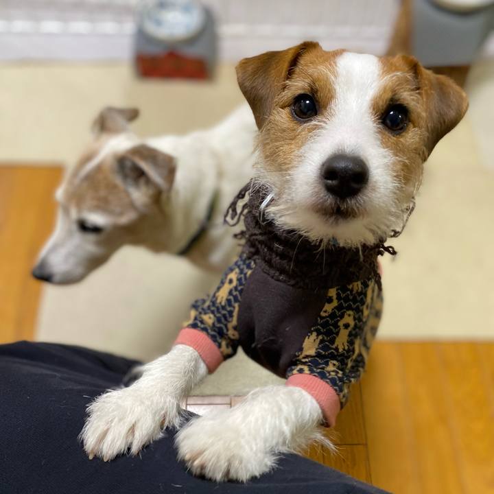 E5d95e78 5ae5 47eb 8c64 8e55d5f4f8a9 1671576163829