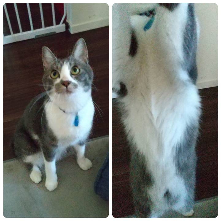 E5d96e38 abfe 4529 851c f66140b45484 1599188150957