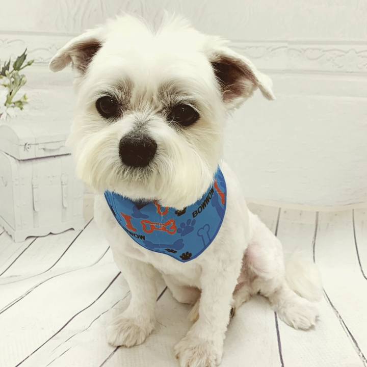 E5d9a9e3 5f98 459e 9dfc 37b55782ff91 1683107949738