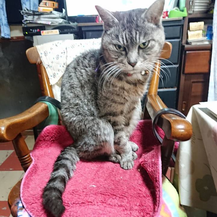 E5d9c41c a1d5 4843 9397 c5a36a688fab 1580896902460