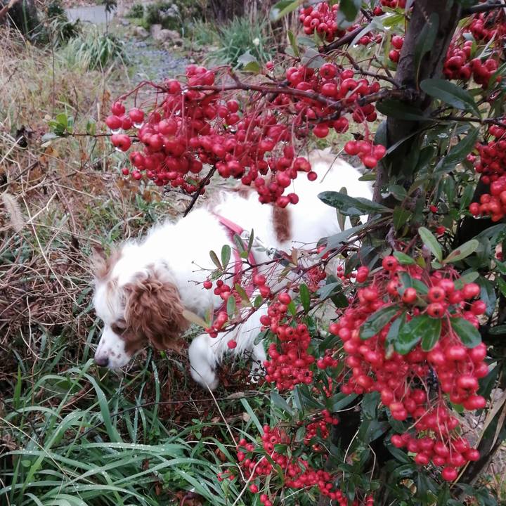 E5d9e3e4 b0c1 47f6 8235 94129be48255 1578397374109