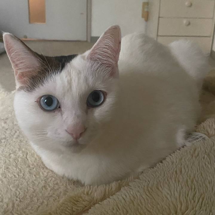 E5da042a 1ce7 49fc a954 42809c457a32 1699274268488