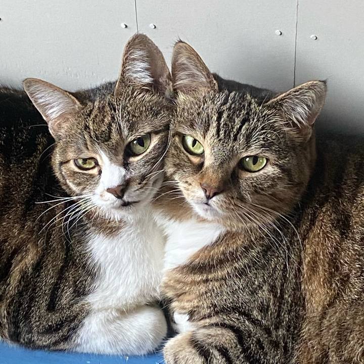 E5da43c3 e4f6 4559 920b 1b45993cec3d 1624147301917