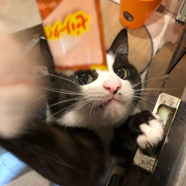 E5da8daf 4f1b 4f89 907f 85163b7e3954 1523932973933