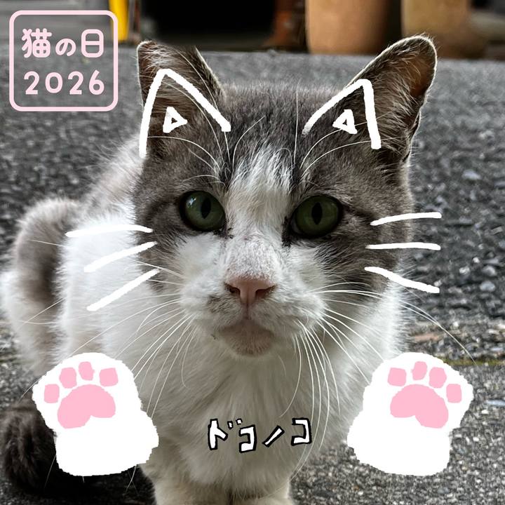 E5da9585 e73e 4ae7 8013 655fef76bca8 1771705095924