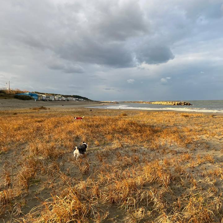 E5da983b a6df 4dbc 8bf4 1942c1576732 1763509036755