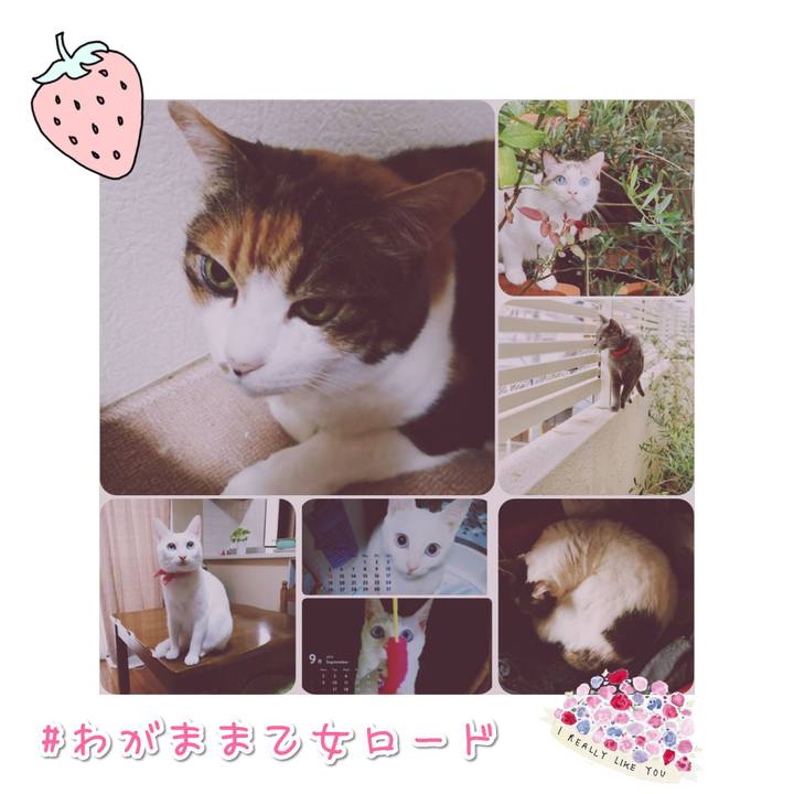 E5daa8f4 4fac 4ca8 89b0 352ad2c840f3 1567314914747