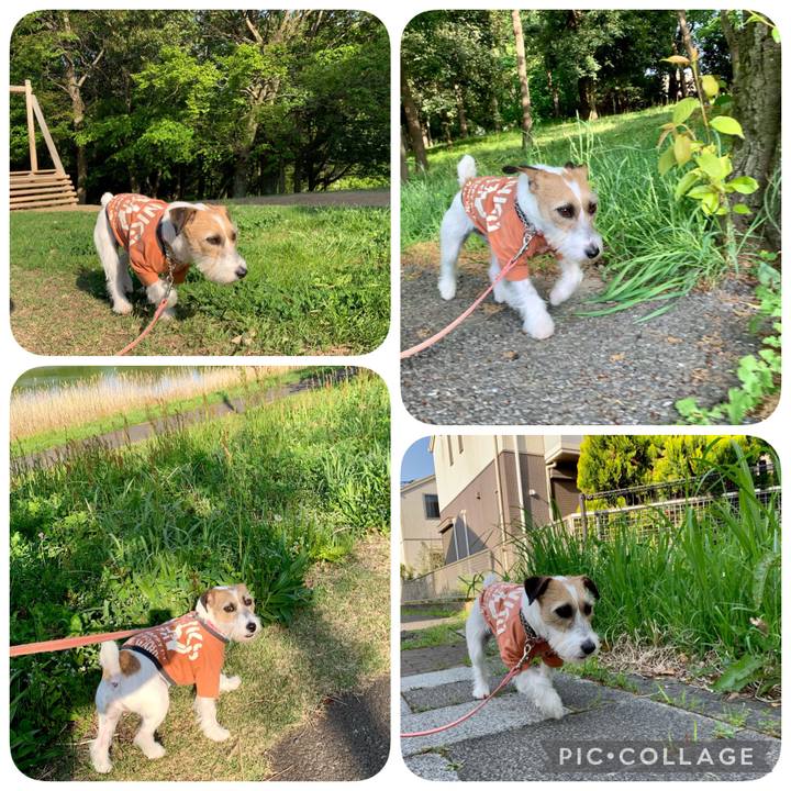 E5daf5e6 6f93 4cbc 98f9 af64e30ad521 1618907307743