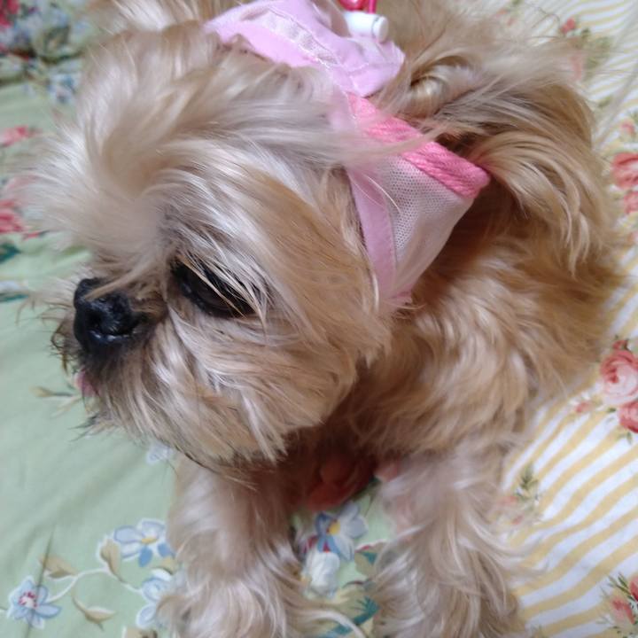 E5db0dd8 1eed 40ec bfda 6806b0b31146 1602118089234