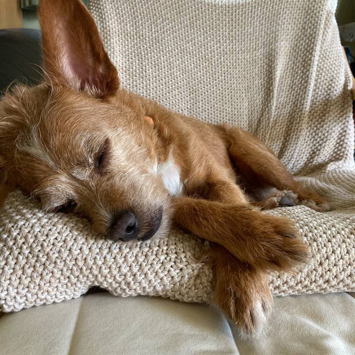 E5db5686 20e3 4352 a924 b13e9c1e31a4 1659164363586