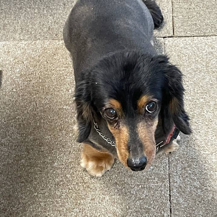 E5db66ad 0184 4f71 9a10 1ab2fa2ed546 1615758098906