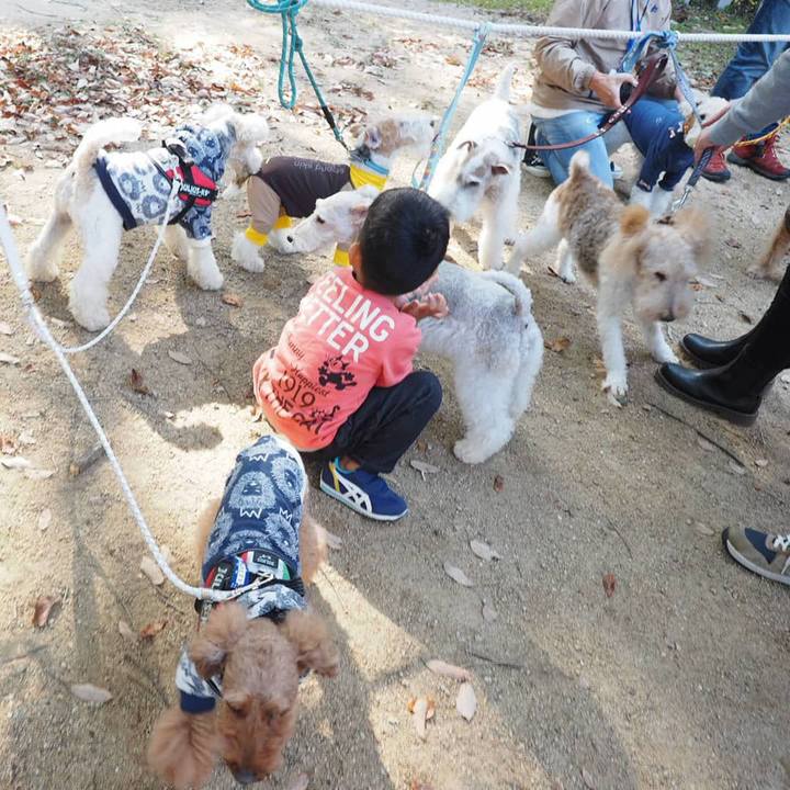 E5db9c1a 38e0 4245 9068 287372641f46 1542373473296