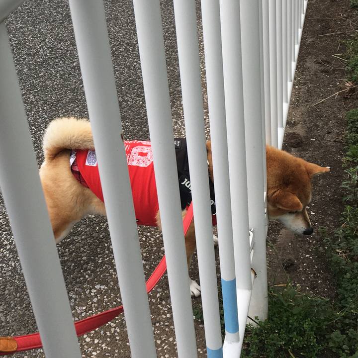 E5db9da4 7539 4bbc adae 2dfbd2f4cb38 1614305037143