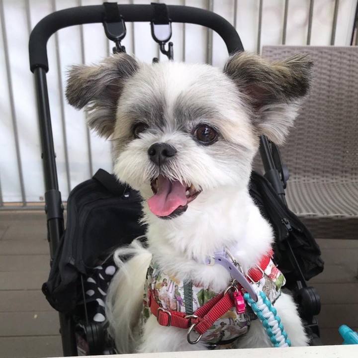 E5dbb5ee 0e05 4447 9519 7323aa1f8745 1661941609311