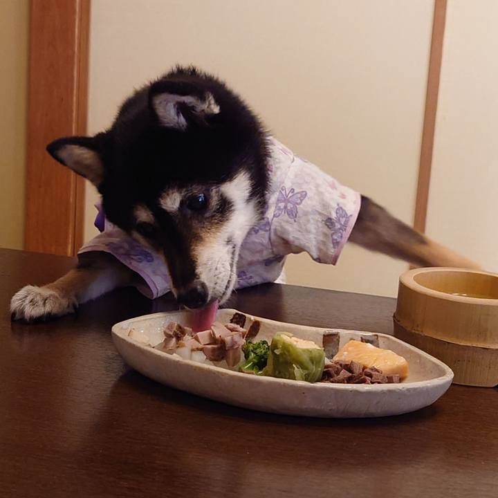 E5dbc466 eb0e 4af5 851b 46e83ae39c1d 1697954918827