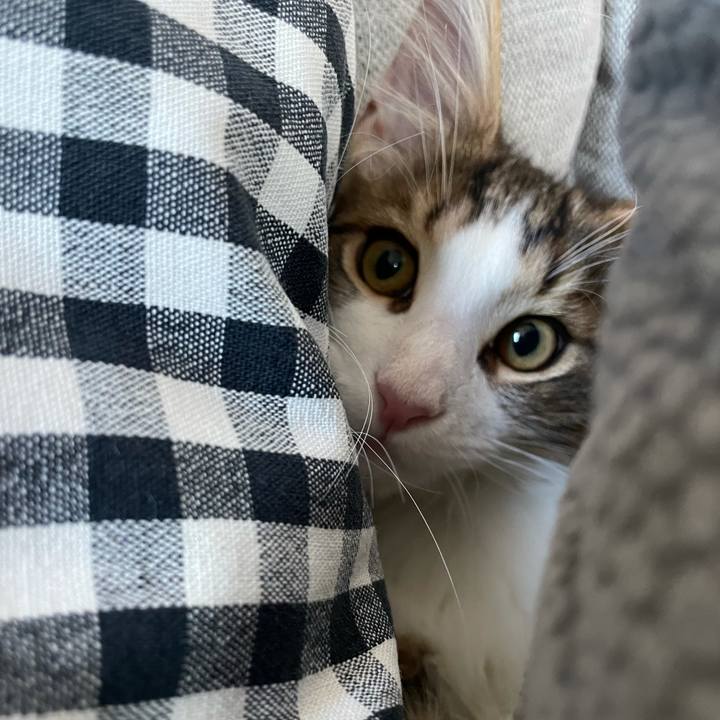 E5dbd7ce 221a 495a 9182 ffefd074eec6 1635238312505