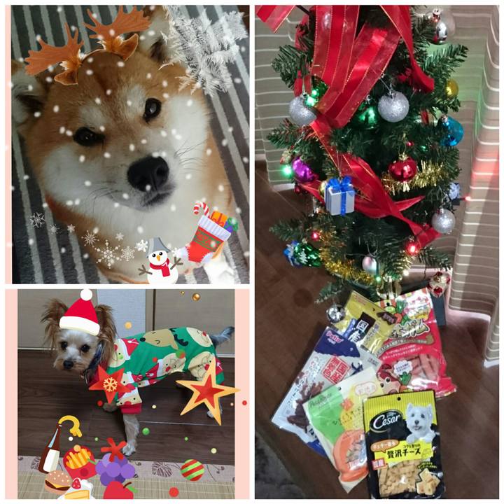 E5dc2b21 0ec5 4fc2 9265 2414d6da3ead 1513434233812