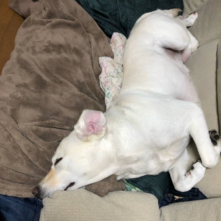 E5dc2fac 4f59 4b0f 98c9 a34699f6d641 1715918029647