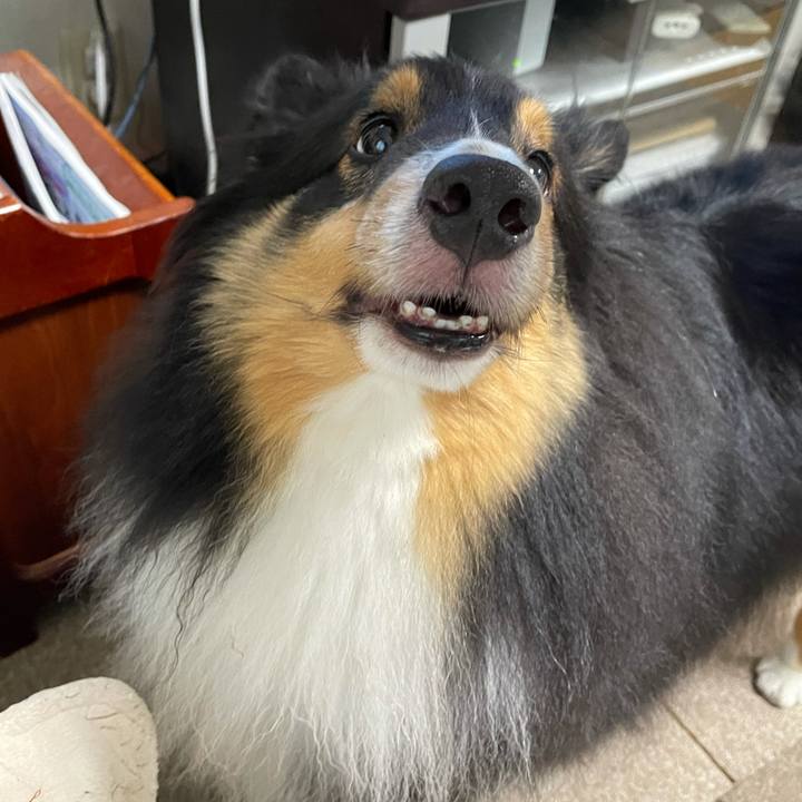 E5dc4c76 24ce 4b71 ab82 e34b3e1981bf 1625435398512