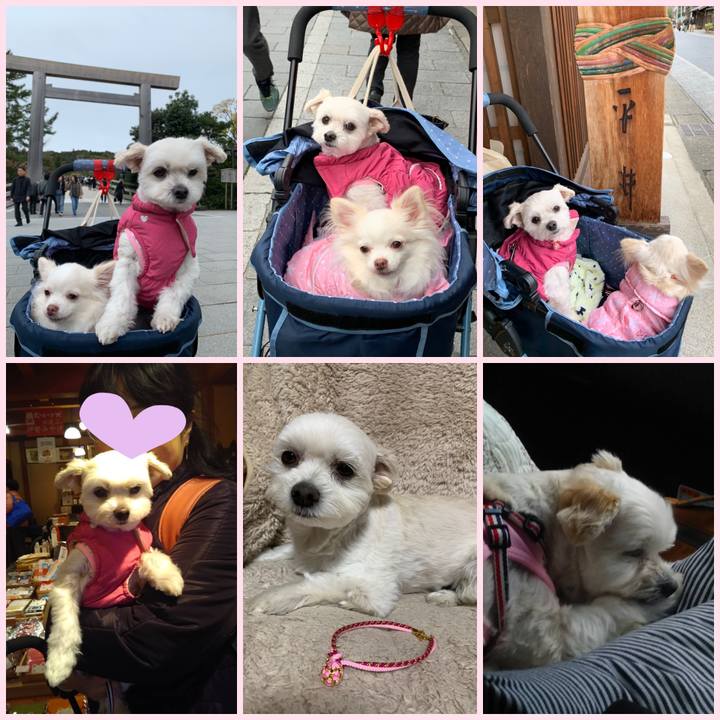 E5dcacc5 520e 4321 b120 5d6c7bd8cca7 1574939158781