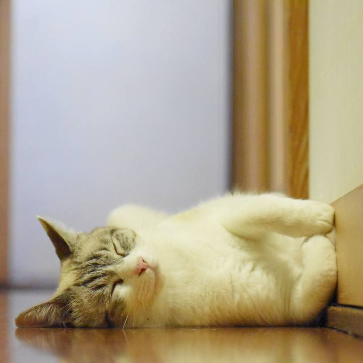 E5dcea7f 0013 4652 81f4 5402d352e98c 1533469845451