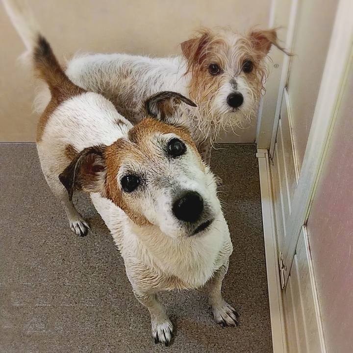 E5dceca5 b33d 40ca 974d c1aceeea80df 1535252398134