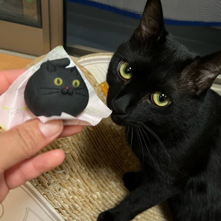 E5dcf439 bcdb 45ea b050 cf3f9ee176e6 1664804214262