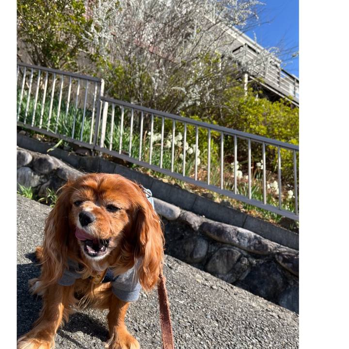 E5dd0713 a71b 456d bdfe 34bb70f14ddb 1679184394010