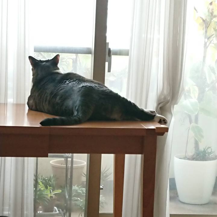 E5dd0bbf 9526 4d89 b3ae 665fc1c21a92 1540686199232