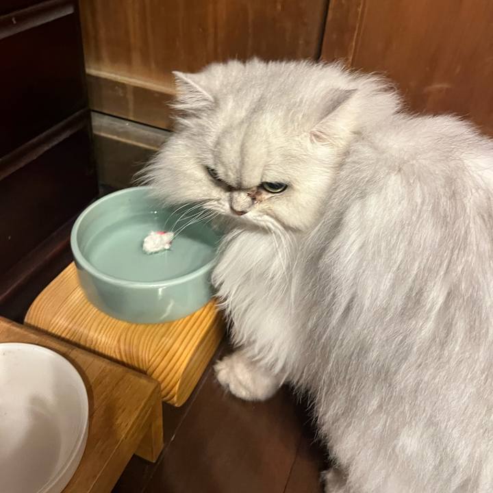 E5dd2464 fa3d 411d 8de9 acec210f36dc 1679572706052