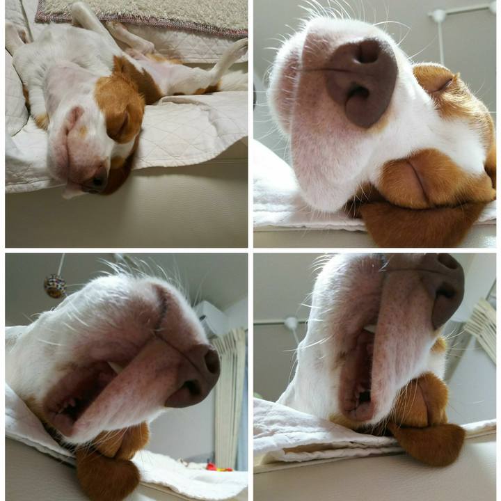 E5dd322c 7d9d 4fe0 8f67 618b39c8eb82 1535634794956