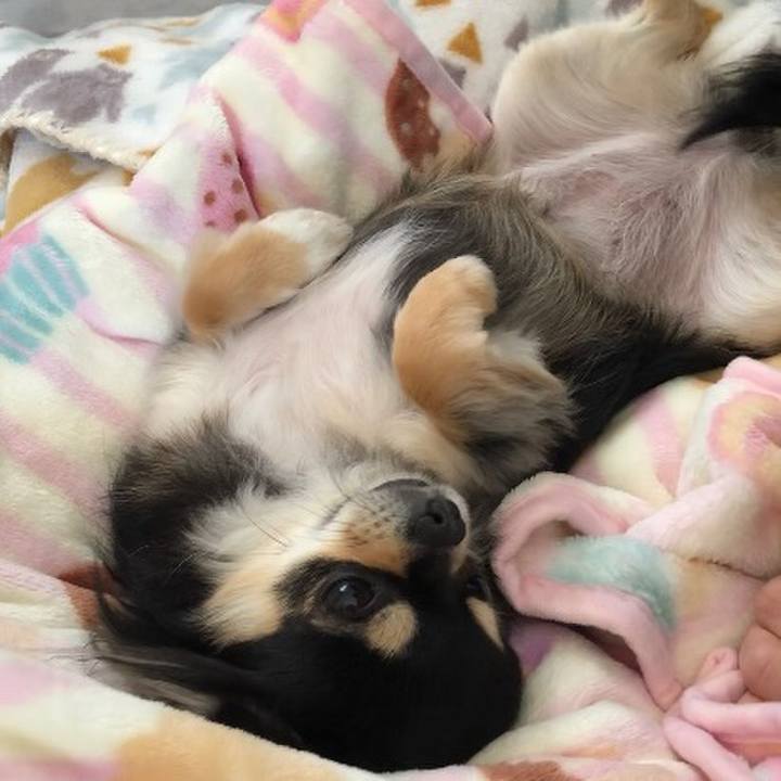 E5dd5026 5d59 4fb1 a5f5 99d3e0fc9df5 1581426753803