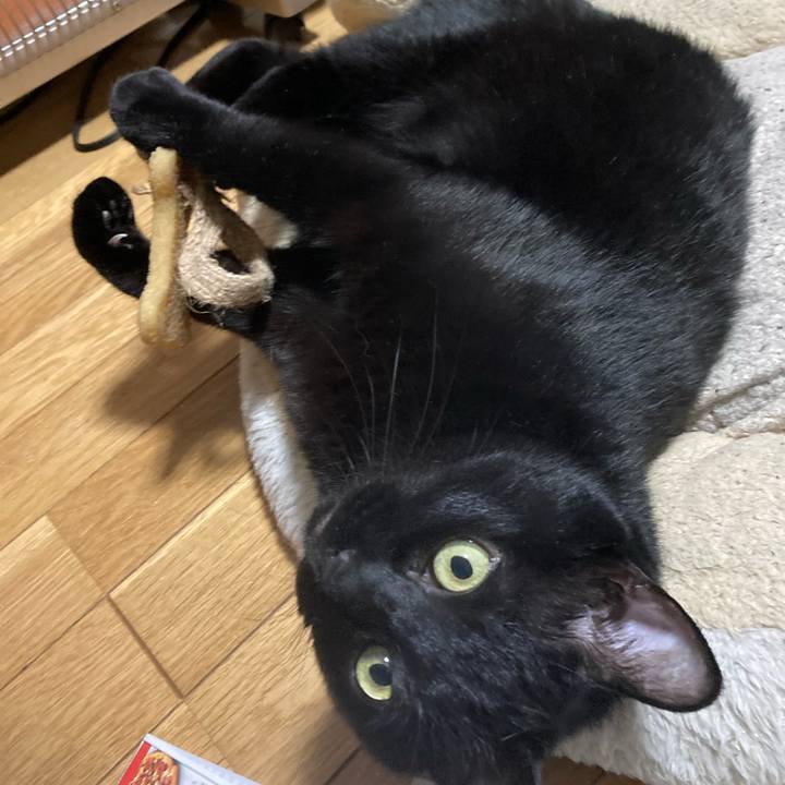 E5dd749b ee77 4c3f a121 2654fe74e6ef 1654173082148