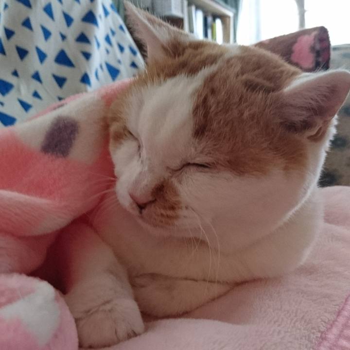 E5dd8e34 f843 4ce5 8650 ffbfc54c8a2d 1669002521349