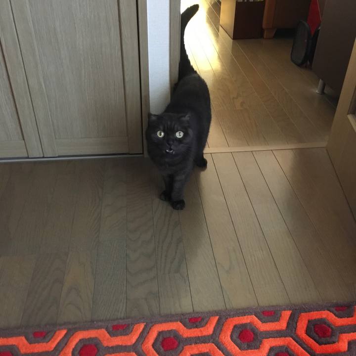 E5ddc9d7 1873 43ae 9782 a6904ac1799e 1540687760434