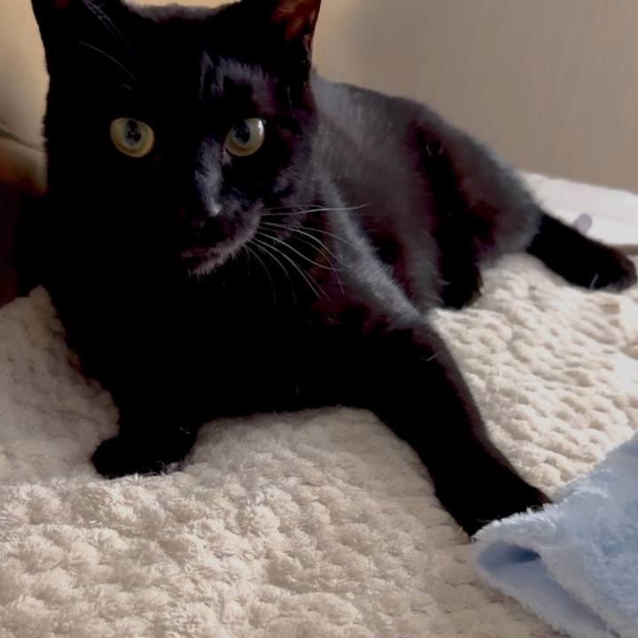 E5ddce86 05ae 4b9c a8b8 a601038c8a74 1746155414537