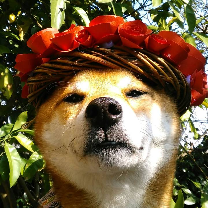 E5ddd2a6 5322 46a0 a215 c608522cf43a 1521121044829