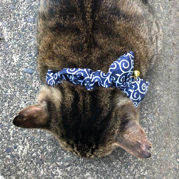 E5dde086 1692 418c b1a3 d84c1fc2b258 1531430472957