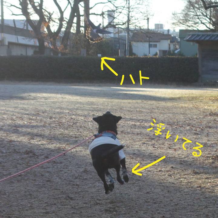 E5ddf18c 6851 44d4 b762 fcc459abfcb5 1704415064767