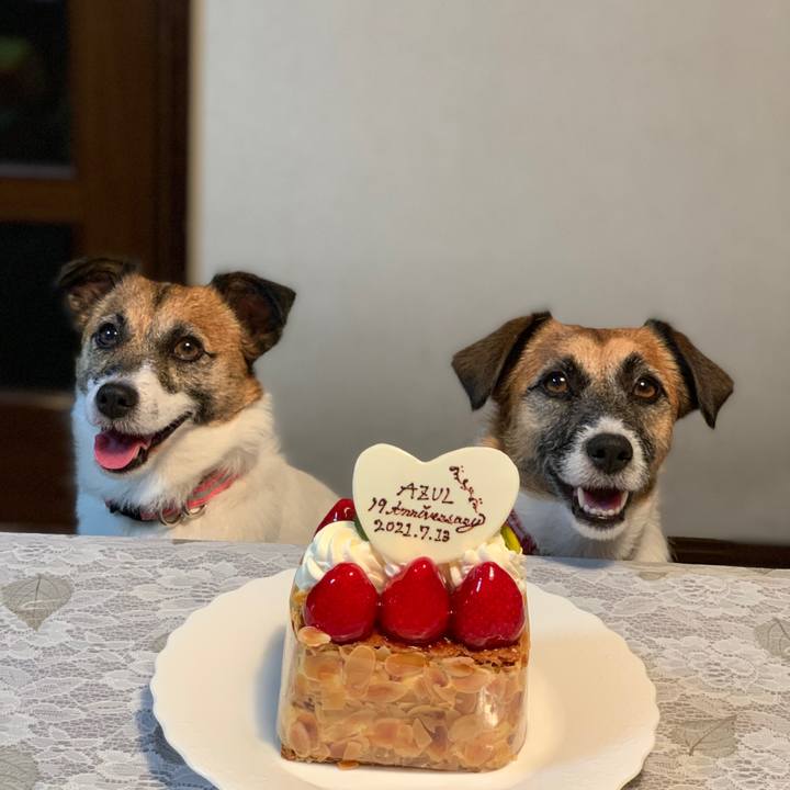 E5ddf8df 86c8 4142 84e9 4591f486b97b 1626178951638