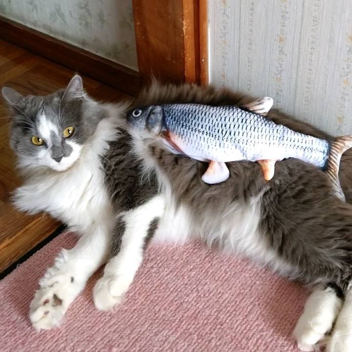 E5de0b4b e093 4468 9665 a21671bbd171 1588655409160