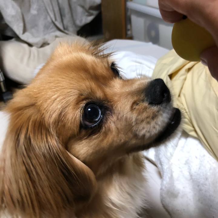 E5de16d2 6f2f 4316 9d80 b32a9ca5d1c2 1525953397340