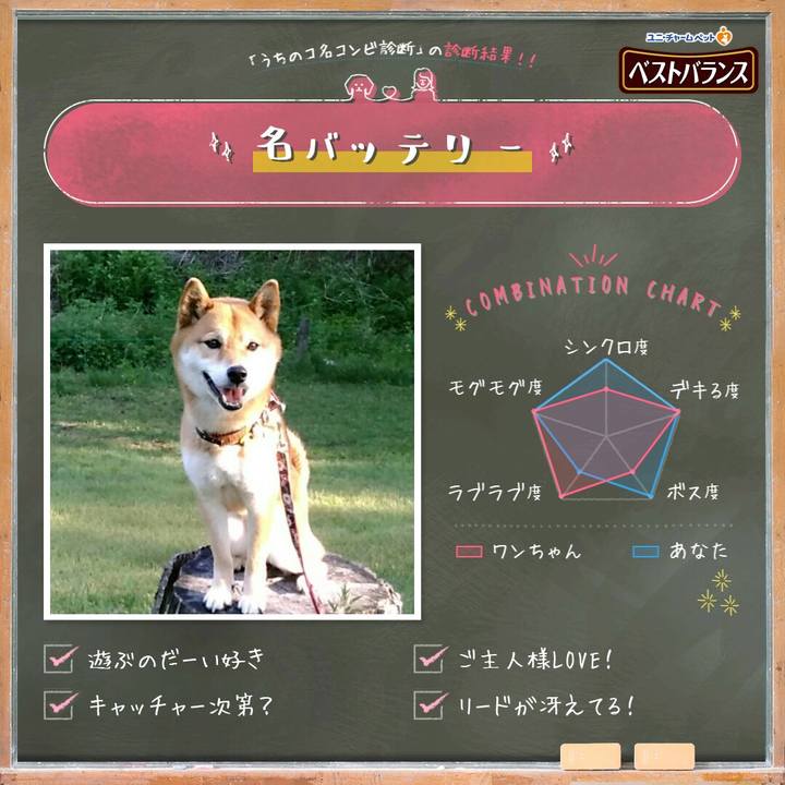 E5de1a34 7514 4d24 841f 764a8865fb2f 1558940431319